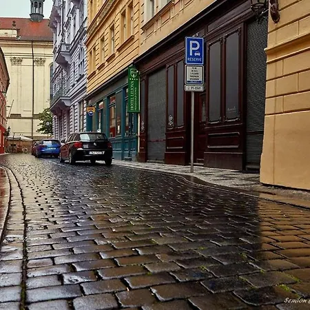 Apart Near The Charles Bridge Prague Exterior photo